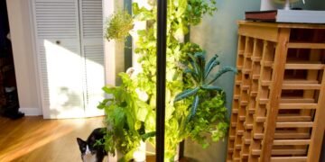 This smart garden turned my black thumb green