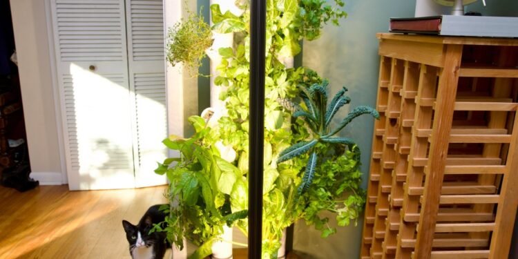 This smart garden turned my black thumb green