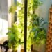 This smart garden turned my black thumb green