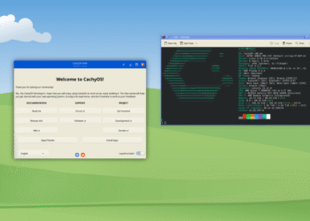 I replaced Windows with Linux and everything’s going great