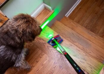 I didn’t expect to love Dyson’s PencilVac Fluffycones – but I did