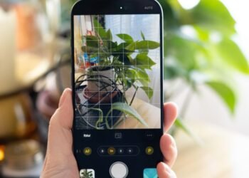 Process Zero is even better with a little processing on the side