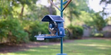 This smart bird feeder captures more of my backyard drama