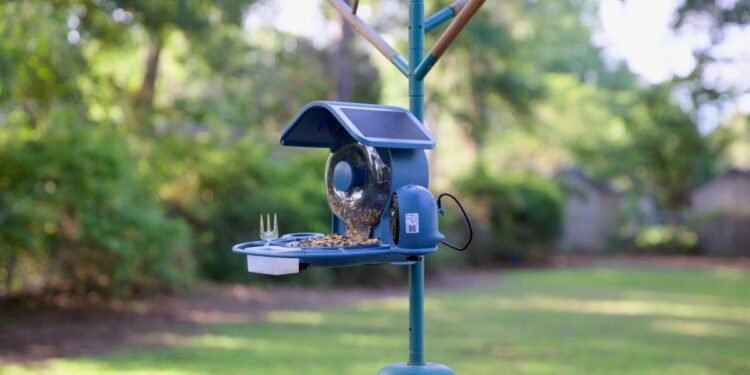 This smart bird feeder captures more of my backyard drama