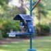 This smart bird feeder captures more of my backyard drama
