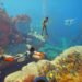 Subnautica 2 launches soon after lengthy legal dispute
