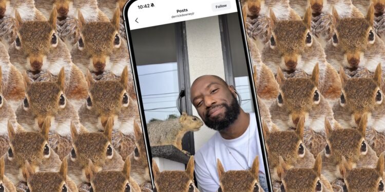 How the internet’s favorite squirrel dad made the hottest camera app of 2026