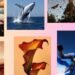 Apple is embracing the fantasy of AI photo editing