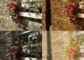Sony’s AI Camera Assistant is exactly as bad as it looks