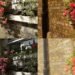Sony’s AI Camera Assistant is exactly as bad as it looks