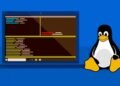 Microsoft’s new developer-optimized Windows embraces Linux even more
