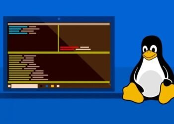 Microsoft’s new developer-optimized Windows embraces Linux even more