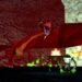 EverQuest’s biggest fans are leading its revival