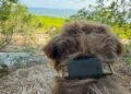 Fi’s Starlink-enabled pet tracker found my dog when LTE couldn’t