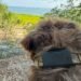 Fi’s Starlink-enabled pet tracker found my dog when LTE couldn’t