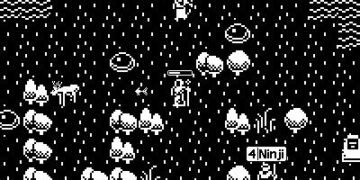 The tiniest MMO