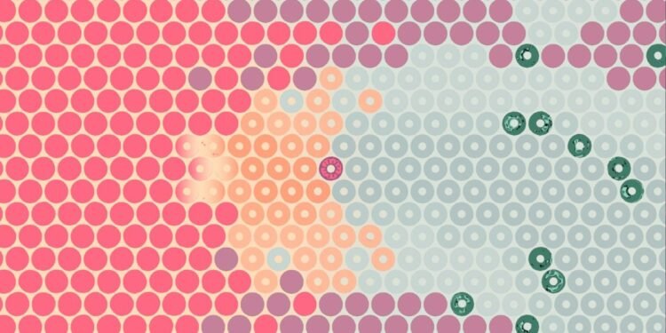 What Surrounds Us will make you think a lot about circles