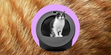 Whisker’s AI-powered litter robot thinks my cats swapped bodies