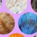 The Verge Guide to Pets