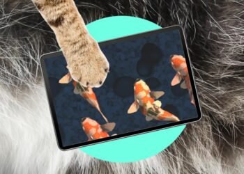 Oops! My cat is an iPad kid