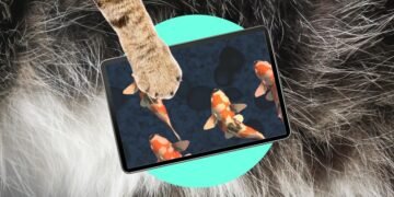 Oops! My cat is an iPad kid