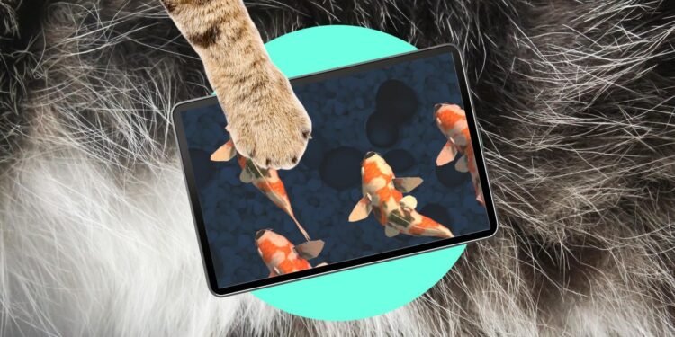 Oops! My cat is an iPad kid