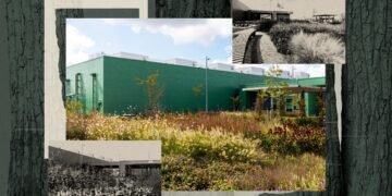 If a data center is camouflaged in the woods, will anyone hate it?